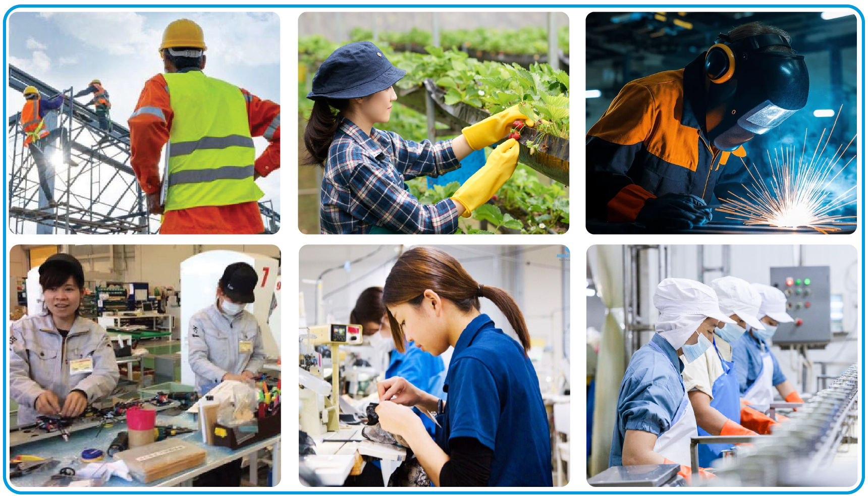 Ảnh chương trình Thực tập sinh kỹ năng Tràng An